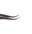 PhotoRoom-20210429_223738.png