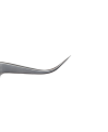 PhotoRoom-20210429_223724.png