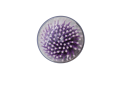 Photoroom-20241108_172414.png