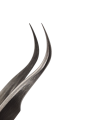 Photoroom-20241108_175435.png