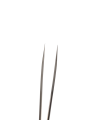 Photoroom-20241108_175819.png