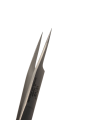 Photoroom-20241108_175844.png