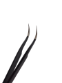 Photoroom-20241108_183258.png