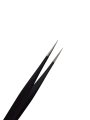 Photoroom-20241108_184533.png