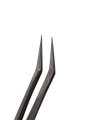 Photoroom-20241108_185113.png