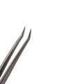 Photoroom-20241108_190736.png