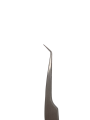 Photoroom-20241108_191106.png