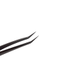 Photoroom-20241108_193124.png