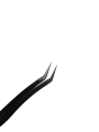 Photoroom-20241108_193200.png
