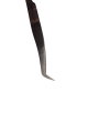 Photoroom-20241108_193317.png