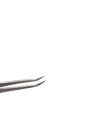 Photoroom-20241108_193337.png