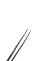 Photoroom-20241108_193359.png