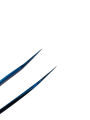 Photoroom-20241108_185606.png