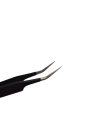 Photoroom-20241108_184032.png